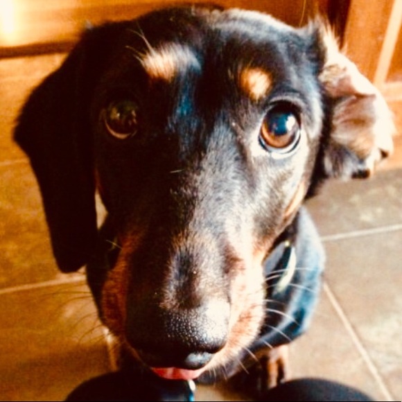 Meet your Posher, Ashlyn - Picture 1 of 1